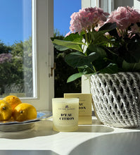 Load image into Gallery viewer, Victor Vaissier ilm-kerti - VELDU ILM