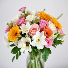 Load image into Gallery viewer, Miðlungs blandaðir vendir - VELDU LIT