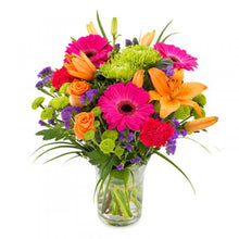 Load image into Gallery viewer, Veglegir blandaðir vendir - VELDU LIT