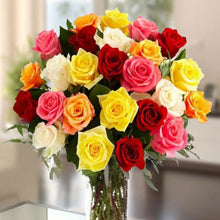 Load image into Gallery viewer, Rósavendir 25 STÓRAR 60cm rósir VELDU LIT